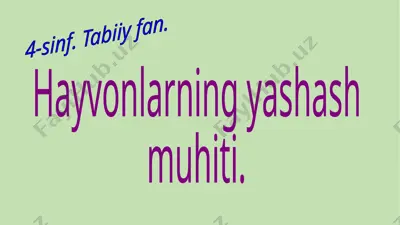 11-dars. hayvonlar yashaydigan muhit. absatova guzal — PPTX