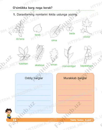 tabiiy fanlar daftari 3_4 dars — PDF