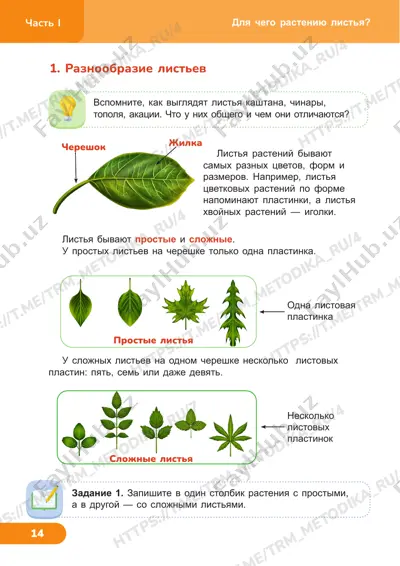 estestvoznanie 4klass 3_4 uroki — PDF