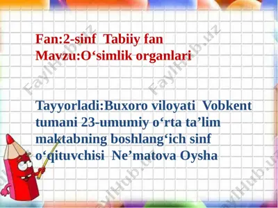 2-sinf tabiiy fan — PPTX