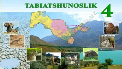 58 bet. 4-sinf tabiatshunoslik cho'llar va vohalar — PPTX