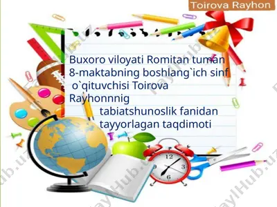 4-sinf. toirova rayhon — PPTX