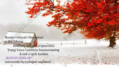 rangin qorlar — PPTX