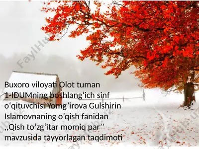 qish to‘zg‘itar momiq par — PPTX