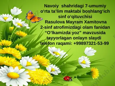 rasulova tabiat — PPTX