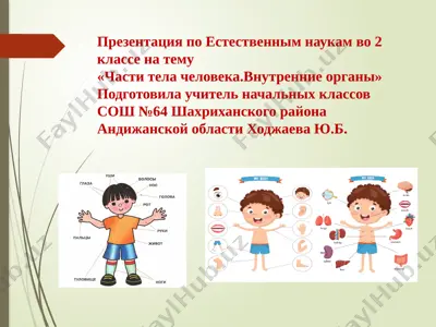 prezentatsiya_po_estestvennim_naukam_vo_2_klasse_na — PPTX