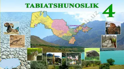 timss tadqiqoti 4-sinf tabiat sayyoralar — PPTX
