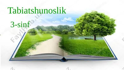yer osti boyliklari — PPTX