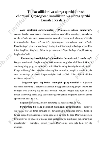 tol kasalliklari va ularga qarshi kurash choralari. qayrog’och kasalliklari va ularga qarshi kurash choralari — DOCX