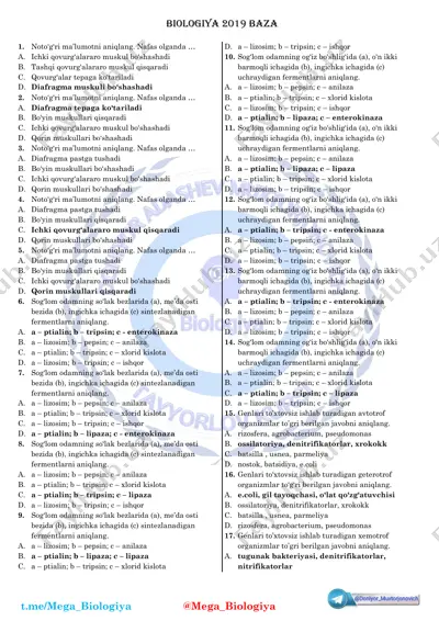 2_5287614764447433664 — PDF