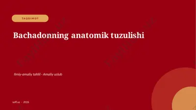 160_v2_bachadonning_anatomik_tuzulishi — PPTX