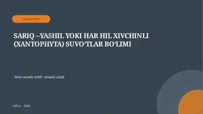 154_v2_sariq_yashil_yoki_har_hil_xivchinli_xa — PPTX