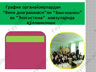 график органайзерлардан “венн диаграммаси”ни “биогеоценоз” ва “экосистема” мавзуларида қўлланилиши — PPTX