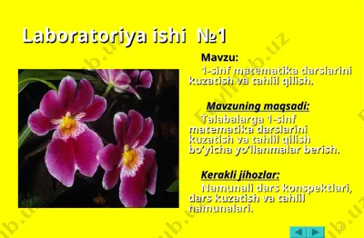 1-sinf matematika darslarini kuzatish va tahlil qilish — PPT