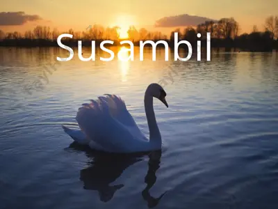 susambl ertagi — PPTX