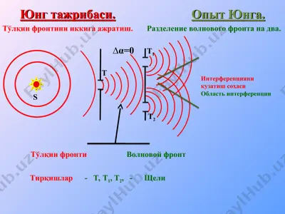 юнг тажрибаси — PPT