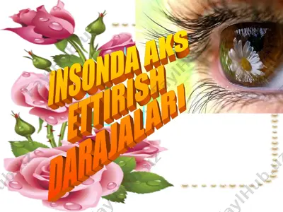insonda aks ettirish darajalari — PPT