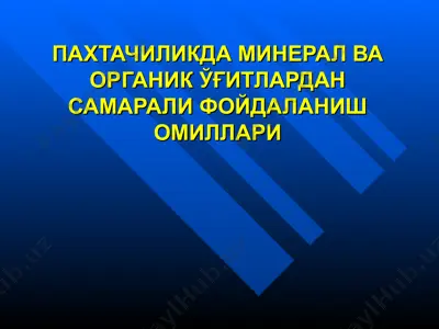 пахтачиликда минерал ва органик ўғитлардан самарали фойдаланиш омиллари — PPT