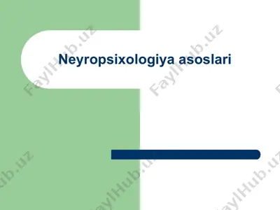neyropsixologiya asoslari — PPTX