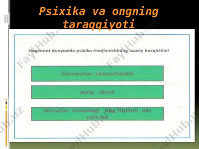psixika va ongning taraqqiyoti — PPTX