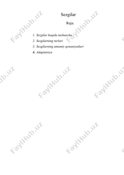 sezgilar — DOC