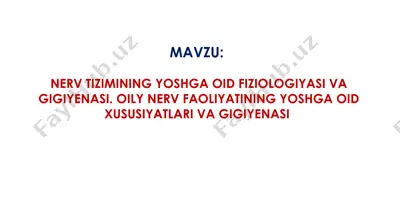 nerv tizimining yoshga oid fiziologiyasi va gigiyenasi. oily nerv faoliyatining yoshga oid xususiyatlari va gigiyenasi — PPTX
