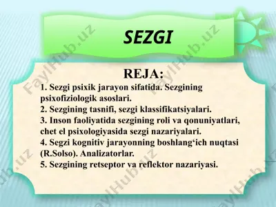 sezgi 2 — PPTX