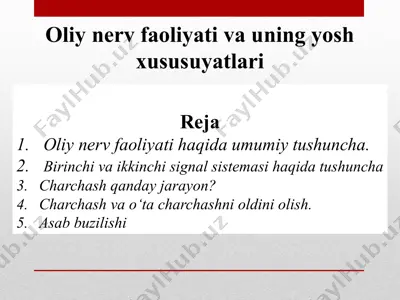 oliy nerv faoliyati va uning yosh xususuyatlari — PPTX