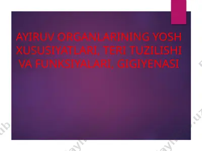 ayiruv organlarining yosh xususiyatlari, teri tuzilishi va funksiyalari, gigiyenasi — PPTX