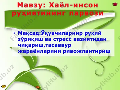 хаёл-инсон руҳиятининг парвози — PPT
