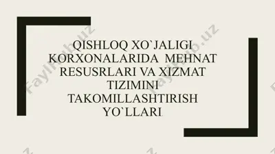 qishloq xo’jaligi korxonalarida mehnat resusrlari va xizmat tizimini takomillashtirish yo’llari — PPTX