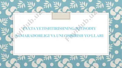paxta yetishtirishning iqtisodiy samaradorligi va uni oshirish yo’llari — PPTX