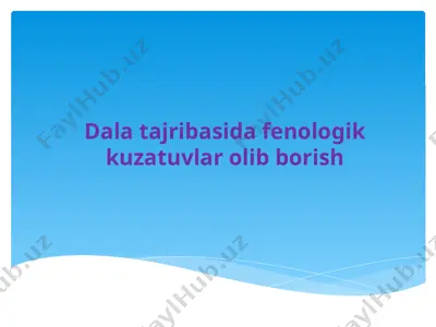 dala tajribasida fenologik kuzatuvlar olib borish — PPTX