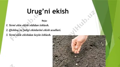 urug’ni ekish 2 — PPTX