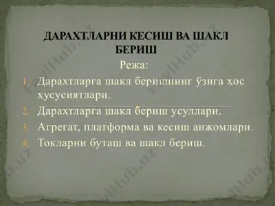 дарахтларни кесиш ва шакл бериш — PPTX