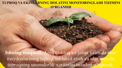 tuproq va ekinlarning holatini monitoringlash tizimini o'rganish — PPTX