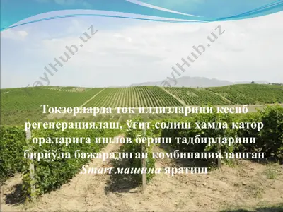 токзорларда ток илдизларини кесиб регенерациялаш, ўғит солиш ҳамда қатор ораларига ишлов бериш тадбирларини бирйўла бажарадиган комбинациялашган smart машина яратиш — PPTX