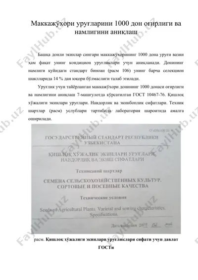 маккажўхори уруғларини 1000 дон оғирлиги ва намлигини аниқлаш — DOC