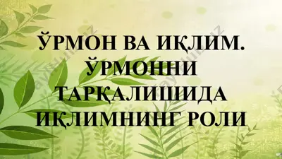 ўрмон ва иқлим. ўрмонни тарқалишида иқлимнинг роли — PPTX