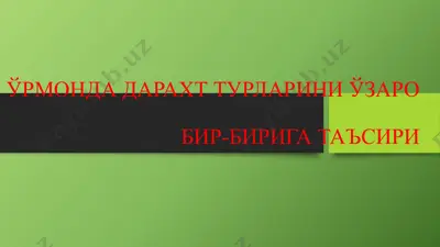 ўрмонда дарахт турларини ўзаро бир-бирига таъсири — PPTX