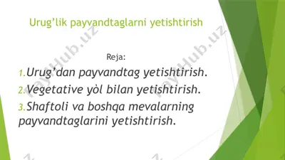 urug’lik payvandtaglarni yetishtirish — PPTX