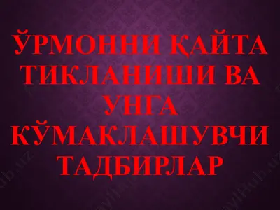ўрмонни қайта тикланиши ва унга кўмаклашувчи тадбирлар — PPTX