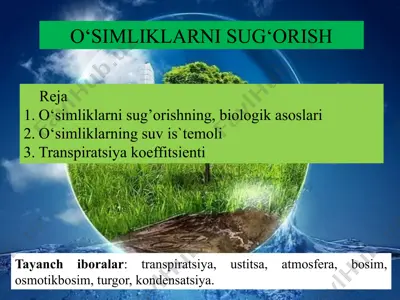 o‘simliklarni sug‘orish — PPTX