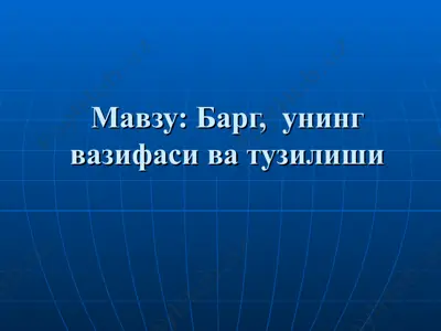 барг, унинг вазифаси ва тузилиши — PPT