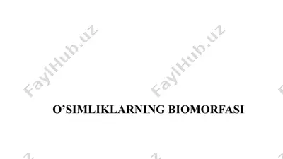 o’simliklarning biomorfasi — PPTX