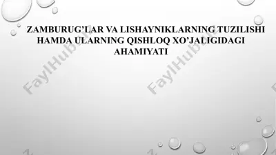 zamburug’lar va lishayniklarning tuzilishi hamda ularning qishloq xo’jaligidagi ahamiyati — PPTX