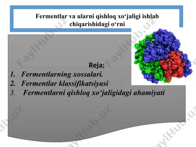 fermentlar va ularni qishloq xo‘jaligi ishlab chiqarishidagi o‘rni — PPTX