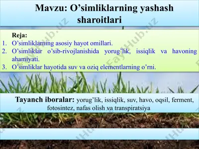 o’simliklarning yashash sharoitlari — PPTX