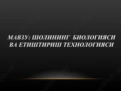 шолининг биологияси ва етиштириш технологияси — PPT