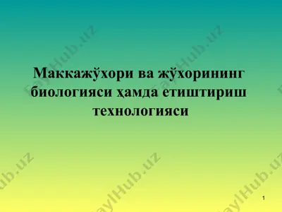 маккажўхори ва жўхорининг биологияси ҳамда етиштириш технологияси — PPT